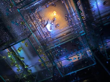 島根県立 しまね海洋館に投稿された画像（2020/8/23）