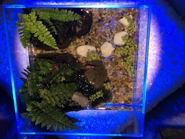 島根県立 しまね海洋館に投稿された画像（2020/8/23）