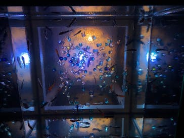 島根県立 しまね海洋館に投稿された画像（2020/8/23）