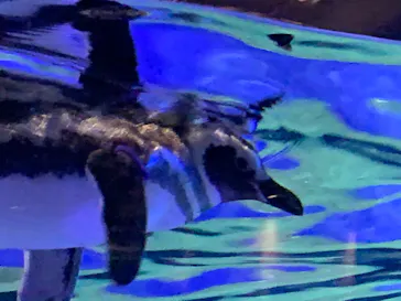 すみだ水族館に投稿された画像（2020/8/23）