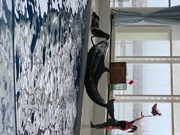 アクアワールド茨城県大洗水族館に投稿された画像（2020/8/23）