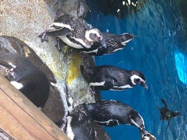 株式会社Gに投稿された画像（2020/8/23）