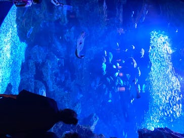 京都水族館に投稿された画像（2020/8/23）