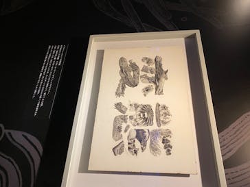 京都水族館に投稿された画像（2020/8/23）