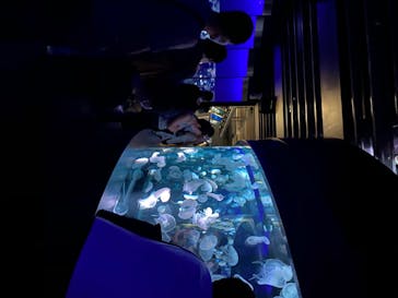 京都水族館に投稿された画像（2020/8/23）