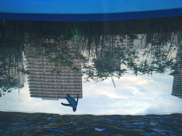 サンシャイン水族館に投稿された画像（2020/8/23）