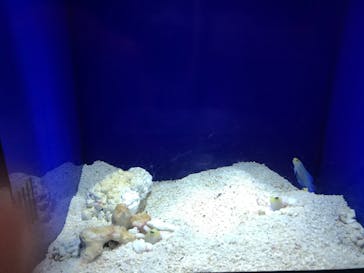 サンシャイン水族館に投稿された画像（2020/8/23）