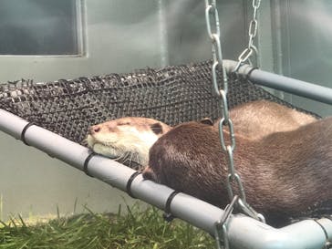 サンシャイン水族館に投稿された画像（2020/8/23）