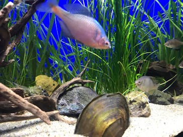 サンシャイン水族館に投稿された画像（2020/8/23）