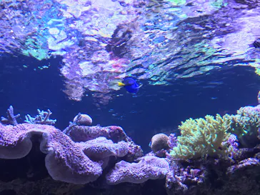 すみだ水族館に投稿された画像（2020/8/23）