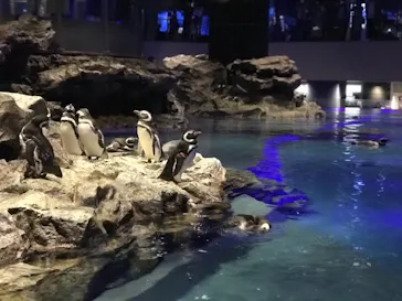 すみだ水族館に投稿された画像（2020/8/23）