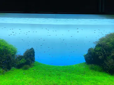 すみだ水族館に投稿された画像（2020/8/23）