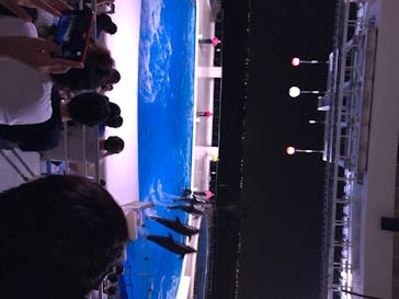 マリンワールド海の中道に投稿された画像（2020/8/23）