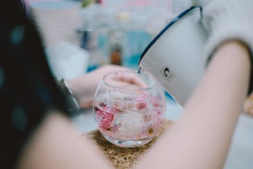 ずこうしつ〜sugamo〜に投稿された画像（2020/8/23）