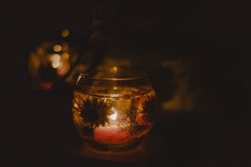 ずこうしつ〜sugamo〜に投稿された画像（2020/8/23）