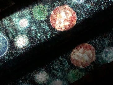 二条城×ネイキッド 二条城夏まつり2021に投稿された画像（2020/8/23）