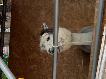 としまえんに投稿された画像（2020/8/23）