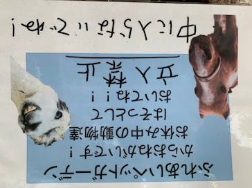 としまえんに投稿された画像（2020/8/23）