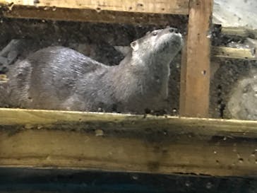 アクアワールド茨城県大洗水族館に投稿された画像（2020/8/23）