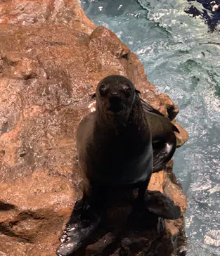 すみだ水族館に投稿された画像（2020/8/23）