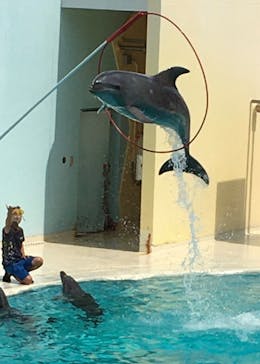 株式会社Gに投稿された画像（2020/8/23）