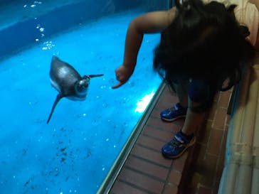 株式会社Gに投稿された画像（2020/8/23）