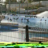 東武動物公園に投稿された画像（2020/8/24）