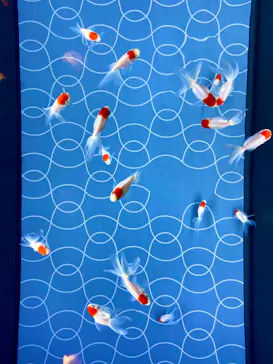 すみだ水族館に投稿された画像（2020/8/24）