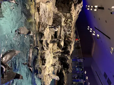 すみだ水族館に投稿された画像（2020/8/24）