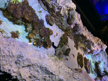 すみだ水族館に投稿された画像（2020/8/24）