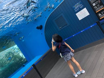 サンシャイン水族館に投稿された画像（2020/8/24）