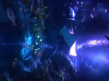 すみだ水族館に投稿された画像（2020/8/24）