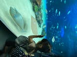 サンシャイン水族館に投稿された画像（2020/8/24）