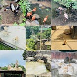 伊豆シャボテン動物公園に投稿された画像（2020/8/24）