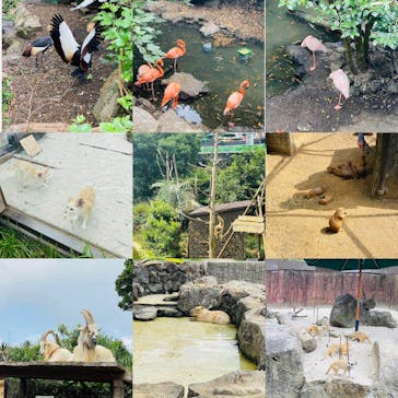 伊豆シャボテン動物公園に投稿された画像（2020/8/24）