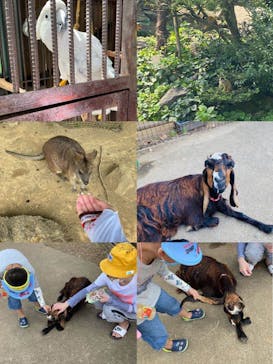 伊豆シャボテン動物公園に投稿された画像（2020/8/24）