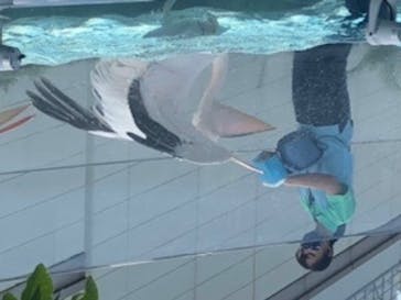 サンシャイン水族館に投稿された画像（2020/8/24）