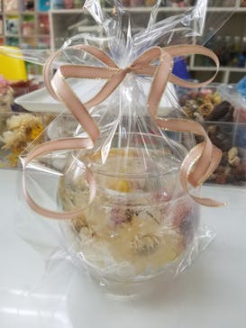 ずこうしつ〜sugamo〜に投稿された画像（2020/8/24）