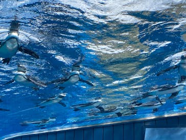 サンシャイン水族館に投稿された画像（2020/8/24）