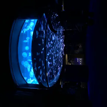 すみだ水族館に投稿された画像（2020/8/24）