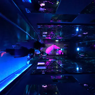 すみだ水族館に投稿された画像（2020/8/24）