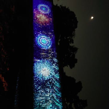 二条城×ネイキッド 二条城夏まつり2021に投稿された画像（2020/8/24）