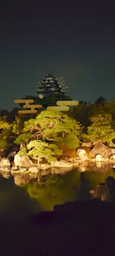 二条城×ネイキッド 二条城夏まつり2021に投稿された画像（2020/8/24）