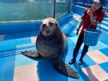 ゼロ距離水族館 伊勢シーパラダイスに投稿された画像（2020/8/24）