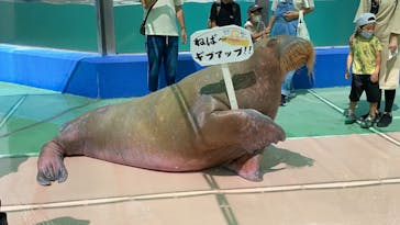 ゼロ距離水族館 伊勢シーパラダイスに投稿された画像（2020/8/24）