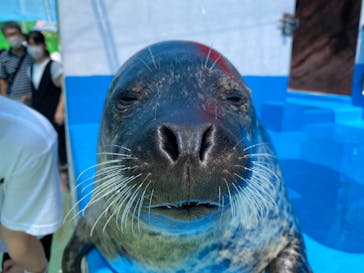 ゼロ距離水族館 伊勢シーパラダイスに投稿された画像（2020/8/24）