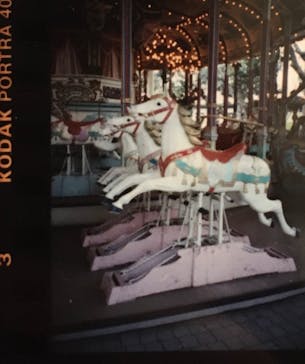 としまえんに投稿された画像（2020/8/24）