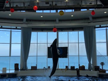 アクアワールド茨城県大洗水族館に投稿された画像（2020/8/24）