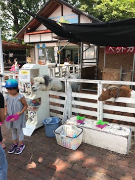 としまえんに投稿された画像（2020/8/24）