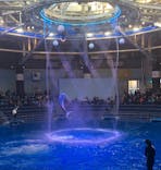 マクセル アクアパーク品川に投稿された画像（2020/8/24）